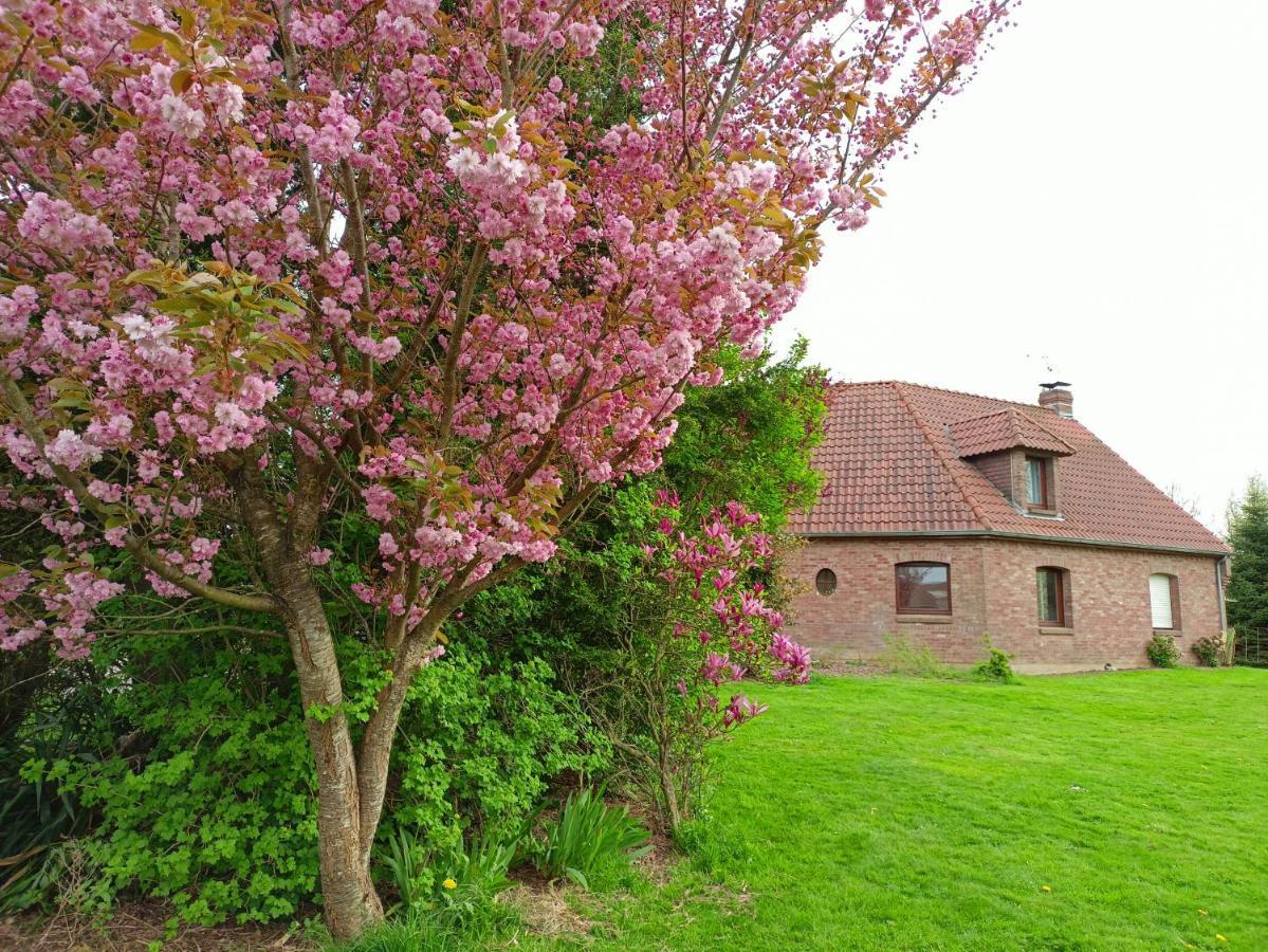 Les Chambres Du Vert Galant "La Campagne Qui Murmure" Verlinghem Buitenkant foto