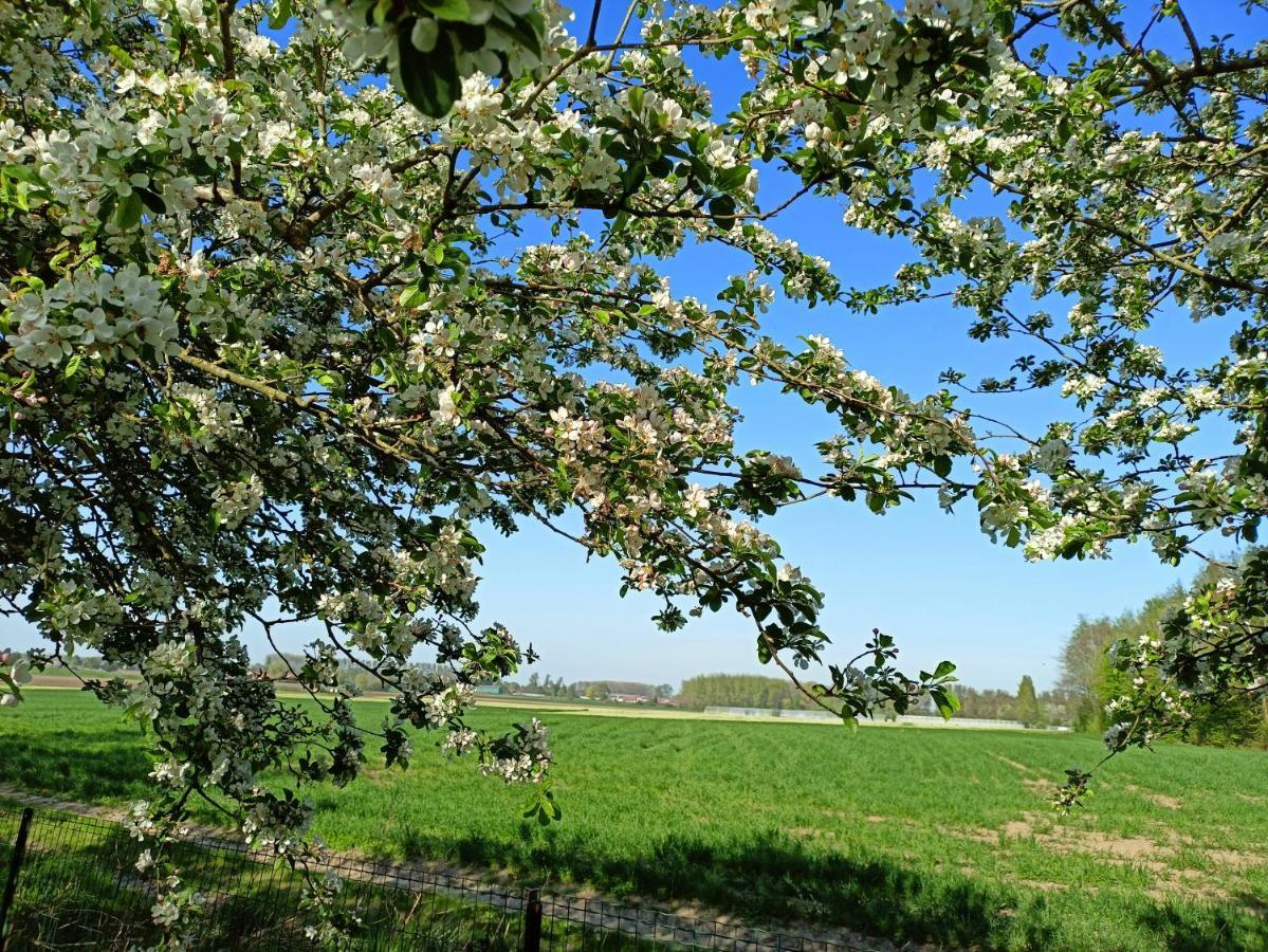 Les Chambres Du Vert Galant "La Campagne Qui Murmure" Verlinghem Buitenkant foto